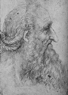 Profile of an Old, Bearded Man to the Right c1480 (1945). Artist: Leonardo da Vinci