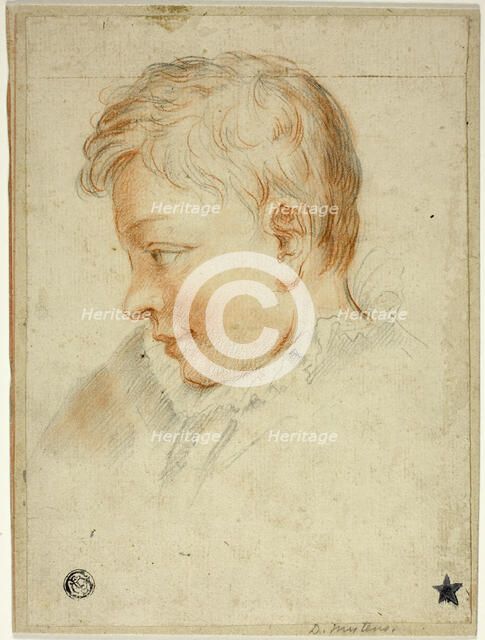Profile Portrait of Boy, n.d. Creator: Daniel Mytens.