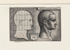 Profile study of a man's head, 1542. Creator: Beham, Hans Sebald (1500-1550)