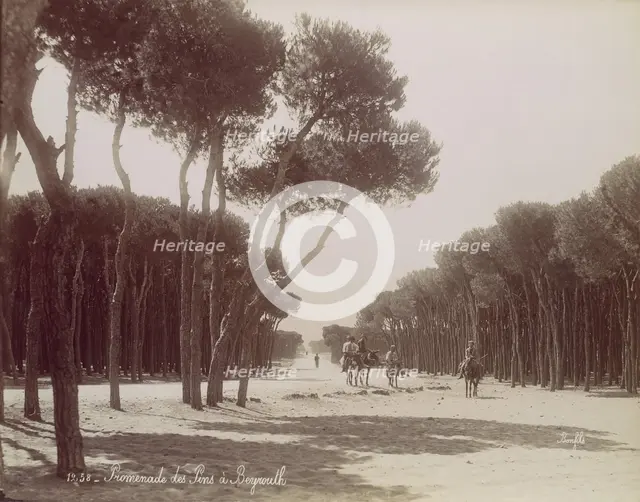 Promenade des Pins à Beyrouth, ca. 1870. Creator: Felix Bonfils.