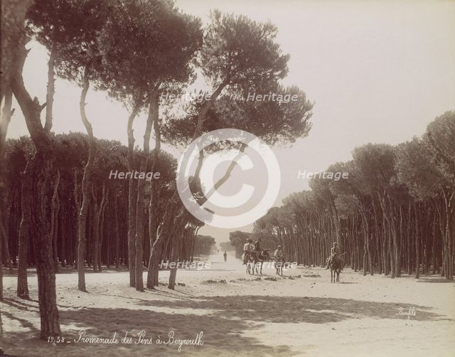 Promenade des Pins à Beyrouth, ca. 1870. Creator: Felix Bonfils.