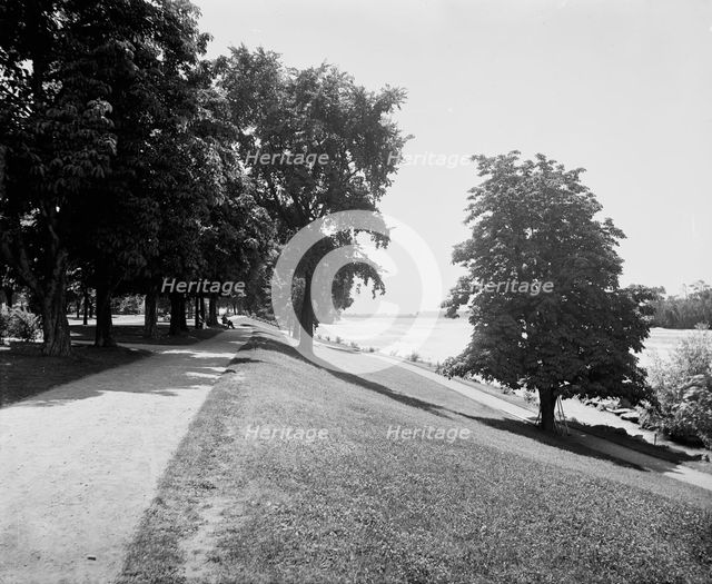Prospect Park, between 1890 and 1899. Creator: Unknown.