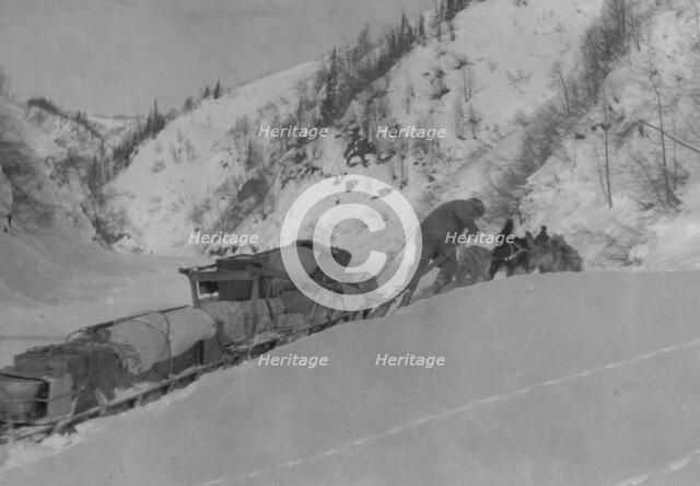 Prospector with dog team, between c1900 and 1923. Creator: Unknown.