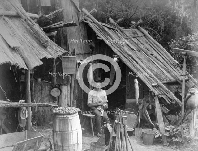 Prospector, Gippsland, Victoria, Australia, 1886. Artist: Unknown