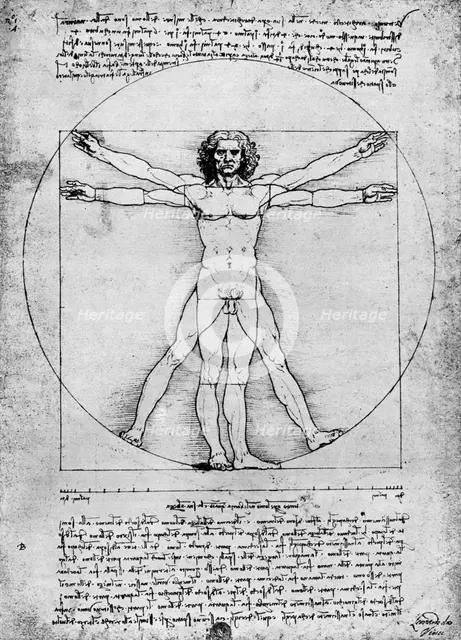 'Proportions of the human figure', c1492, (1936). Artist: Albrecht Dürer