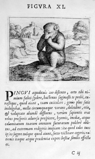 Prophecy figure XI from Prognosticatio Eximii Doctoris Paracelsi, 1536.  Artist: Theophrastus Bombastus von Hohenheim Paracelsus