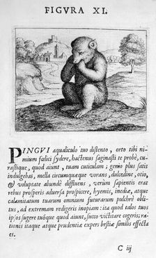 Prophecy figure XI from Prognosticatio Eximii Doctoris Paracelsi, 1536. Artist: Theophrastus Bombastus von Hohenheim Paracelsus
