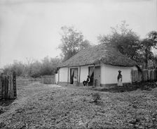 Proprietor's home at Taninul, between 1880 and 1897. Creator: William H. Jackson