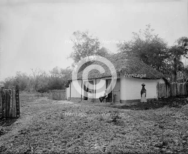 Proprietor's home at Taninul, between 1880 and 1897. Creator: William H. Jackson.