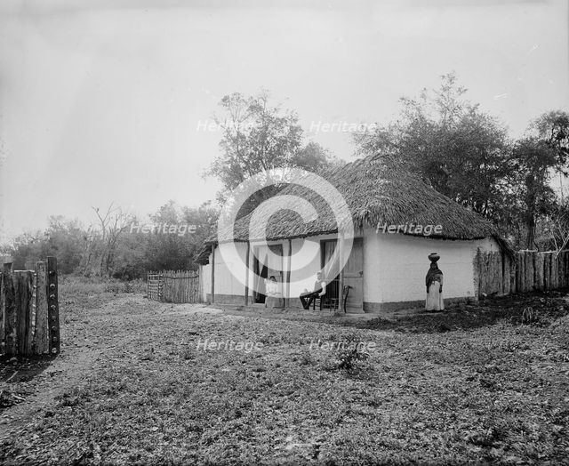 Proprietor's home at Taninul, between 1880 and 1897. Creator: William H. Jackson.