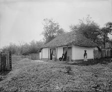 Proprietor's home at Taninul, between 1880 and 1897. Creator: William H. Jackson