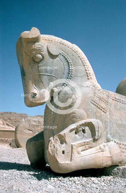 Protome of a horse, the Apadana, Persepolis, Iran. Creator: Vivienne Sharp.