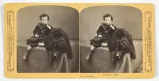 Protection, 1870/89. Creator: Henry Hamilton Bennett