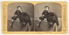Protection, 1870/89. Creator: Henry Hamilton Bennett