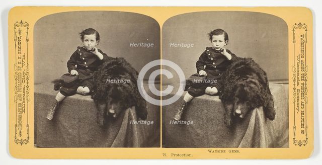 Protection, 1870/89. Creator: Henry Hamilton Bennett.