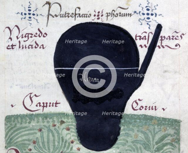 Putrefactio philosophorum (The putrefaction of the philosophers), late 13th century. Creator: Arnold of Villanova.