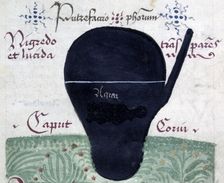 Putrefactio philosophorum (The putrefaction of the philosophers), late 13th century. Creator: Arnold of Villanova