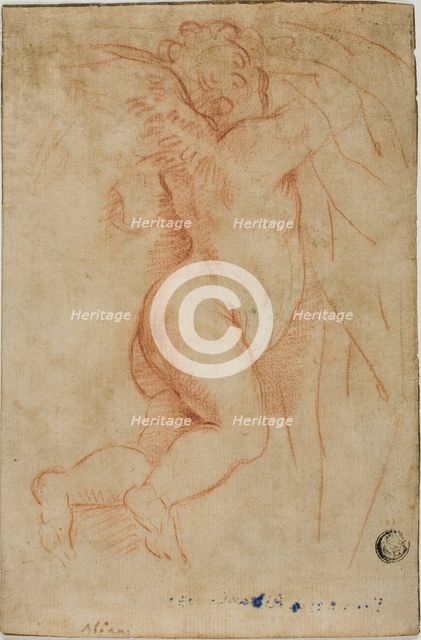 Putto Lifting Curtain (recto); Infant St. John (verso), n.d. Creator: Unknown.