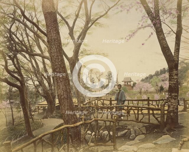 Public Garden, 1865. Creator: Unknown.