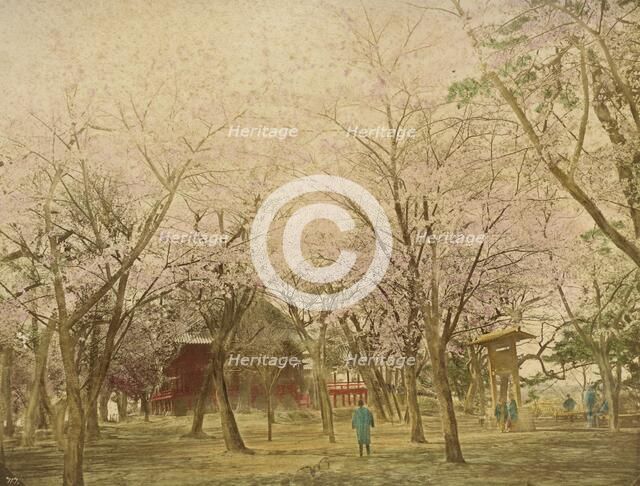 Public Garden Uyeno Tokio, 1865. Creator: Unknown.