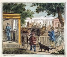 Public weighbridge used to weigh cattle in a market, 1867. Creator: Unknown