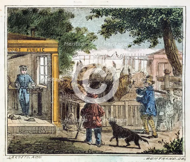 Public weighbridge used to weigh cattle in a market, 1867.  Creator: Unknown.