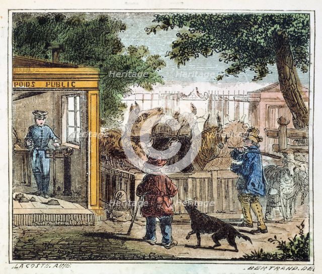Public weighbridge used to weigh cattle in a market, 1867.  Creator: Unknown.