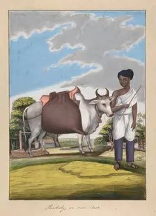 Puckaly in Moor Cast, from Indian Trades and Castes, ca. 1840. Creator: Anon