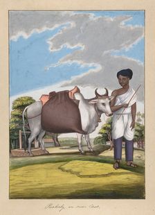 Puckaly in Moor Cast, from Indian Trades and Castes, ca. 1840. Creator: Anon