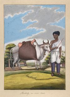 Puckaly in Moor Cast, from Indian Trades and Castes, ca. 1840. Creator: Anon