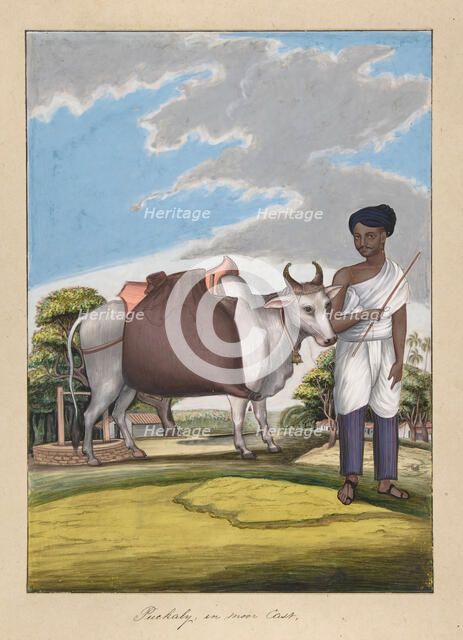 Puckaly in Moor Cast, from Indian Trades and Castes, ca. 1840. Creator: Anon.