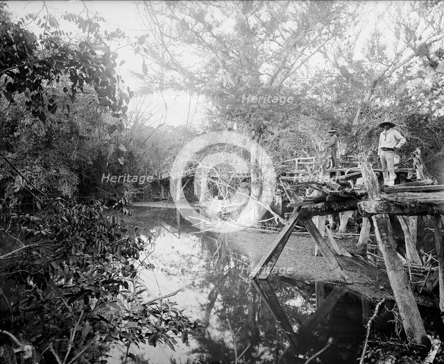 Puente Real near Rascon, between 1880 and 1897. Creator: William H. Jackson.