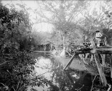 Puente Real near Rascon, between 1880 and 1897. Creator: William H. Jackson