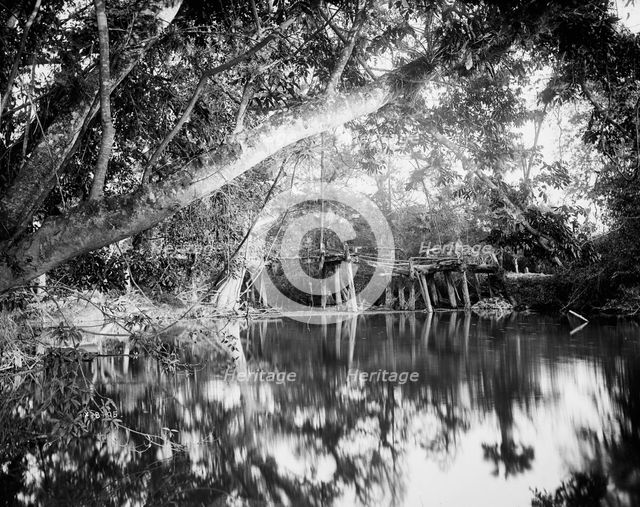 Puente Real near Rascon, between 1880 and 1897. Creator: William H. Jackson.