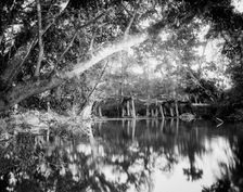 Puente Real near Rascon, between 1880 and 1897. Creator: William H. Jackson