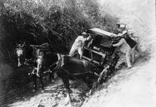 Puerto Rico Roads, Bridges, And Road Construction, 1912. Creator: Harris & Ewing