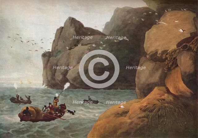 'Puffin Shooting', c1806. Artist: Nichols and Merke.