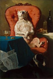 Pug Dog in an Armchair, 1857. Creator: Alfred Dedreux