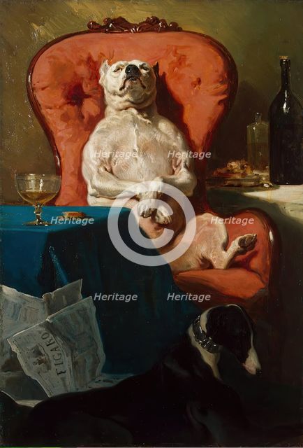 Pug Dog in an Armchair, 1857. Creator: Alfred Dedreux.