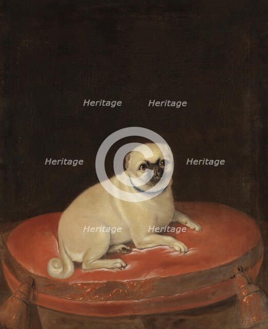 Pug, unknown date. Creator: Anon.