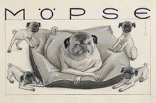 Pugs. Creator: Heine, Thomas Theodor (1867-1948)