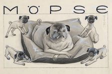 Pugs. Creator: Heine, Thomas Theodor (1867-1948)