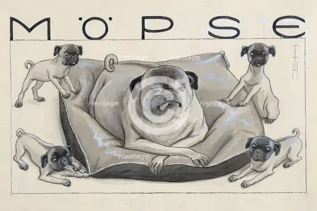 Pugs. Creator: Heine, Thomas Theodor (1867-1948).