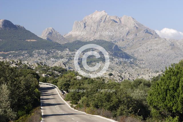 Puig Major, Mallorca, Spain.