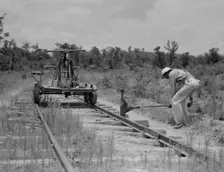 Pulling out the railroad tracks which lead to the closed sawmill, Careyville, Florida, 1937. Creator: Dorothea Lange