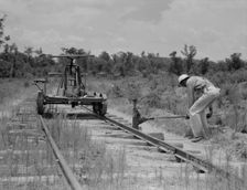 Pulling out the railroad tracks which lead to the closed sawmill, Careyville, Florida, 1937. Creator: Dorothea Lange