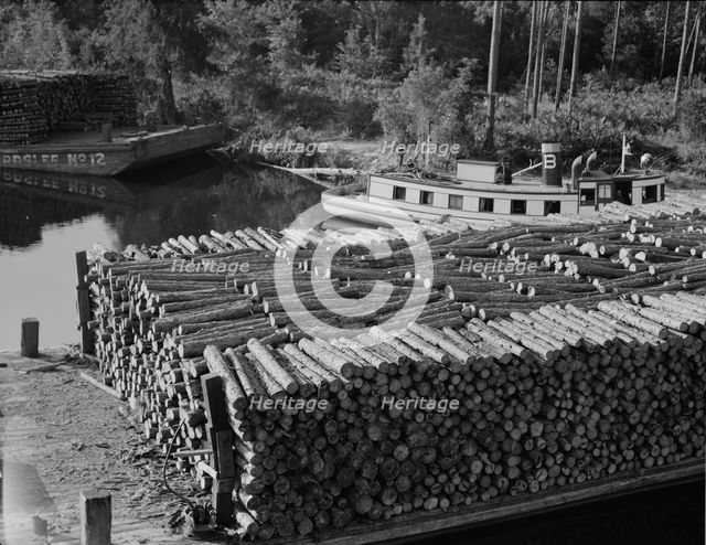 Pulp wood going down the River Styx to Mobile by inland waterway near Robertsdale, Alabama, 1937. Creator: Dorothea Lange.