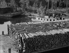 Pulp wood going down the River Styx to Mobile by inland waterway near Robertsdale, Alabama, 1937. Creator: Dorothea Lange