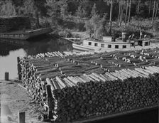 Pulp wood going down the River Styx to Mobile by inland waterway near Robertsdale, Alabama, 1937. Creator: Dorothea Lange