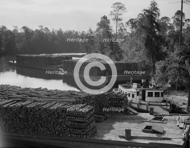 Pulpwood going down the River Styx to Mobile by inland waterway, near Robertsdale, Alabama, 1937. Creator: Dorothea Lange.